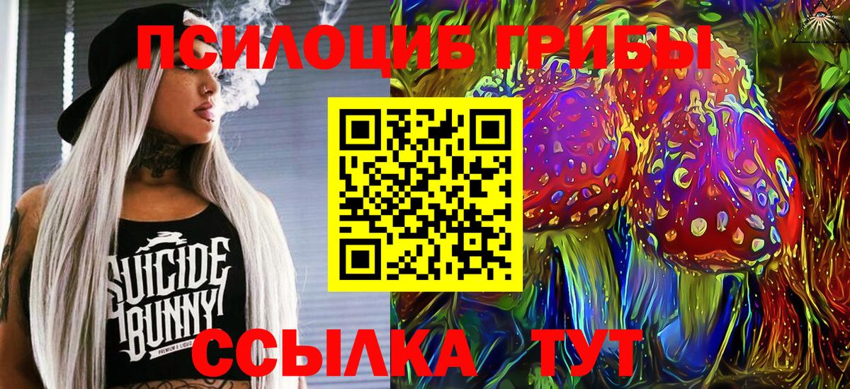 Галлюциногенные грибы мицелий  Вход с VPN  Белгород 